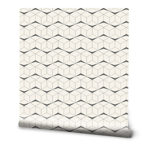 Geometric wallpaper with repeating 3D cube pattern in black and white
