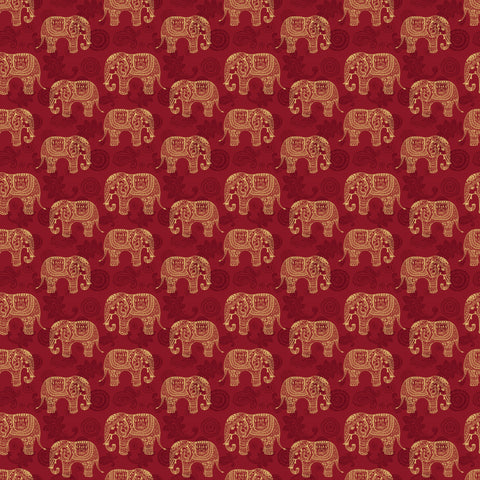 Indian Elephant Removable Wallpaper