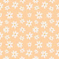  wallpaper with a floral pattern featuring peach colored flowers on a white background.